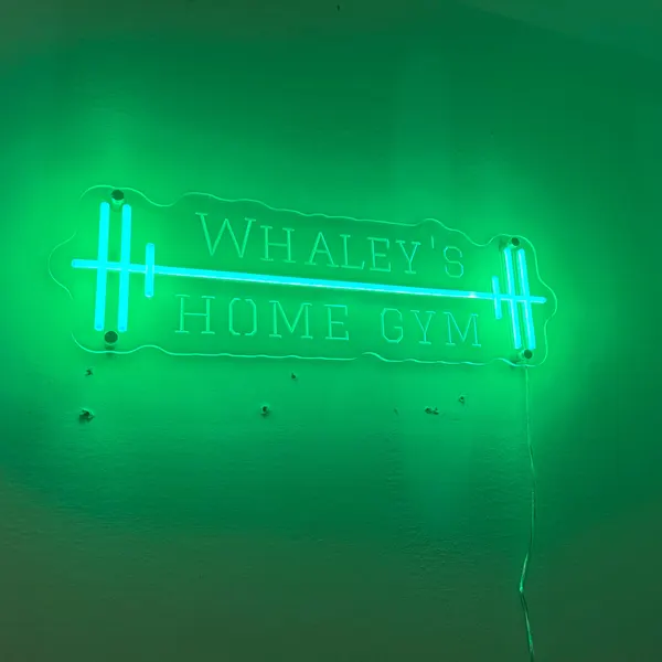 No Pain No Gain gym LED neon sign
